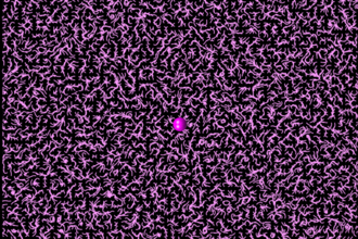 Cover art of the math onco newsletter issue 279