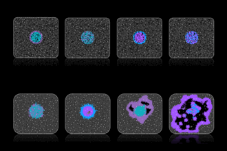 Cover art of the math onco newsletter issue 286