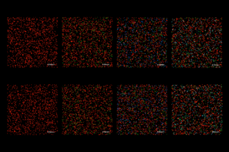 Cover art of the math onco newsletter issue 292