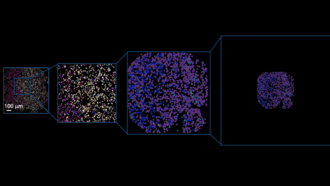 Cover art of the math onco newsletter issue 309