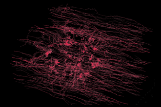 Cover art of the math onco newsletter issue 321