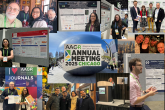 Cover art of the math onco newsletter issue 331