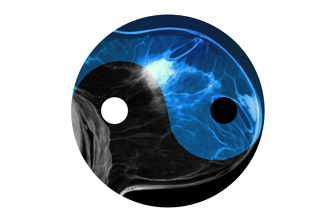 Cover art of the math onco newsletter issue 335