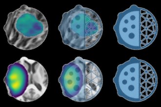 Cover art of the math onco newsletter issue 338