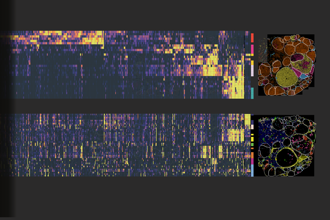 Cover art of the math onco newsletter issue 344