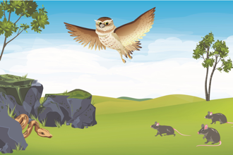 Cover art of the math onco newsletter issue 350