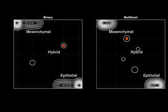 Cover art of the math onco newsletter issue 361